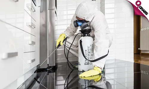 Pest Control: Cockroach & Bedbug Treatment Services!